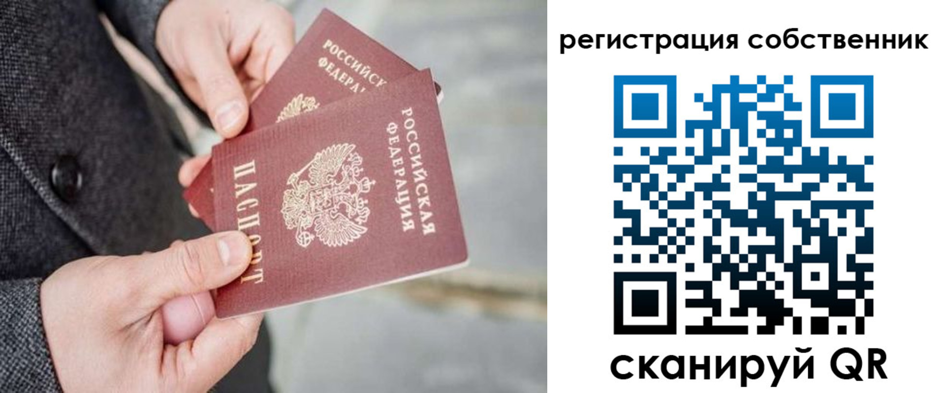 временная регистрация гарантия в Михайлове